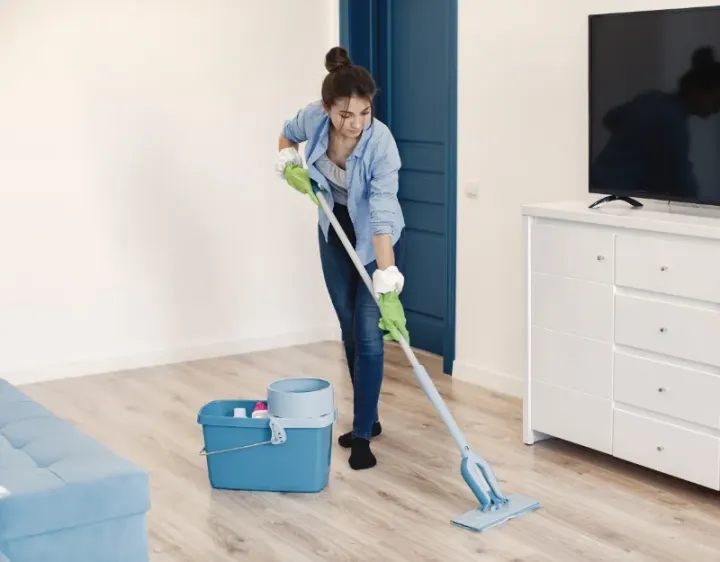 Femme de ménage Planchez